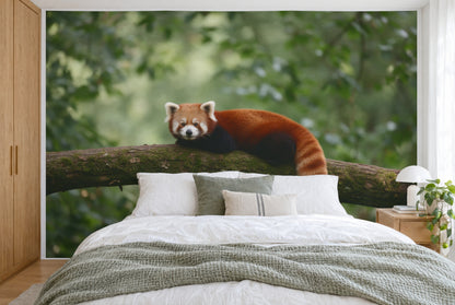 Bedruckter Stoff im XXL-Format: roter Panda links der Mitte auf moosigem Ast vor grünem Laub, wandfüllend hinter dem Bett