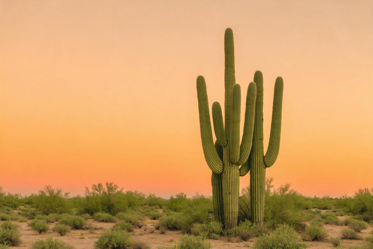Cactus saguaro aux bras puissants à droite du centre, ciel orange, tenture murale imprimée sur tissu – vert et orange