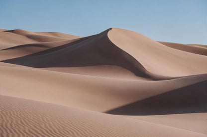 Geschwungene Sanddünen in der Wüste mit weichen Kämmen als Wandtuch, auf Stoff gedruckt – Beige und Braun