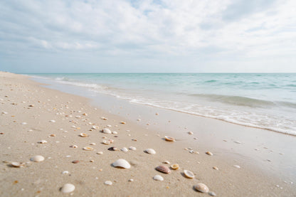 Sandstrand mit Muscheln und feuchtem Sand unter Wolkenhimmel, als Wandtuch, auf Stoff gedruckt – Beige und Türkis