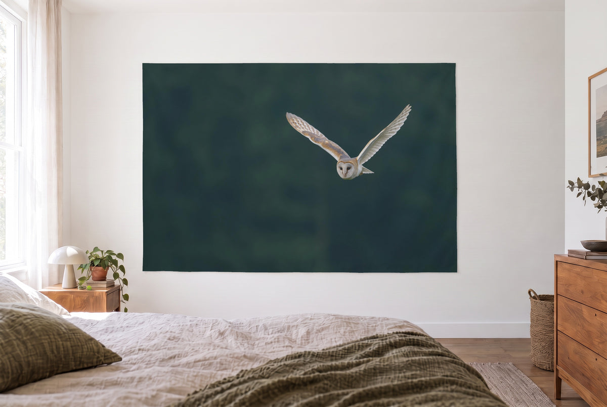 Wandtuch Schleiereule im Flug im hellen Schlafzimmer gegenüber dem Bett, rechts eine Holzkommode – Creme und Tannengrün