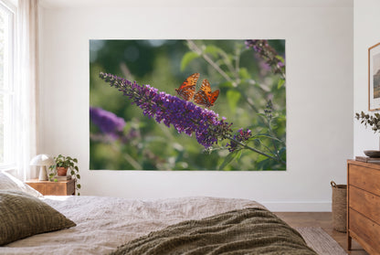 Wandtuch Schmetterlinge auf Sommerflieder im hellen Schlafzimmer gegenüber dem Bett, rechts Holzkommode – Orange und Violett
