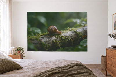 Snail after the Rain tapestry in the bright bedroom opposite the bed, wooden dresser at right – brown green white