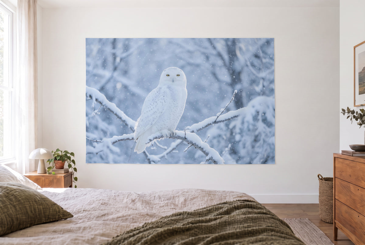 Tapiz búho nival bajo la nevada, dormitorio claro frente a la cama, cómoda de madera a la derecha – blanco y azul