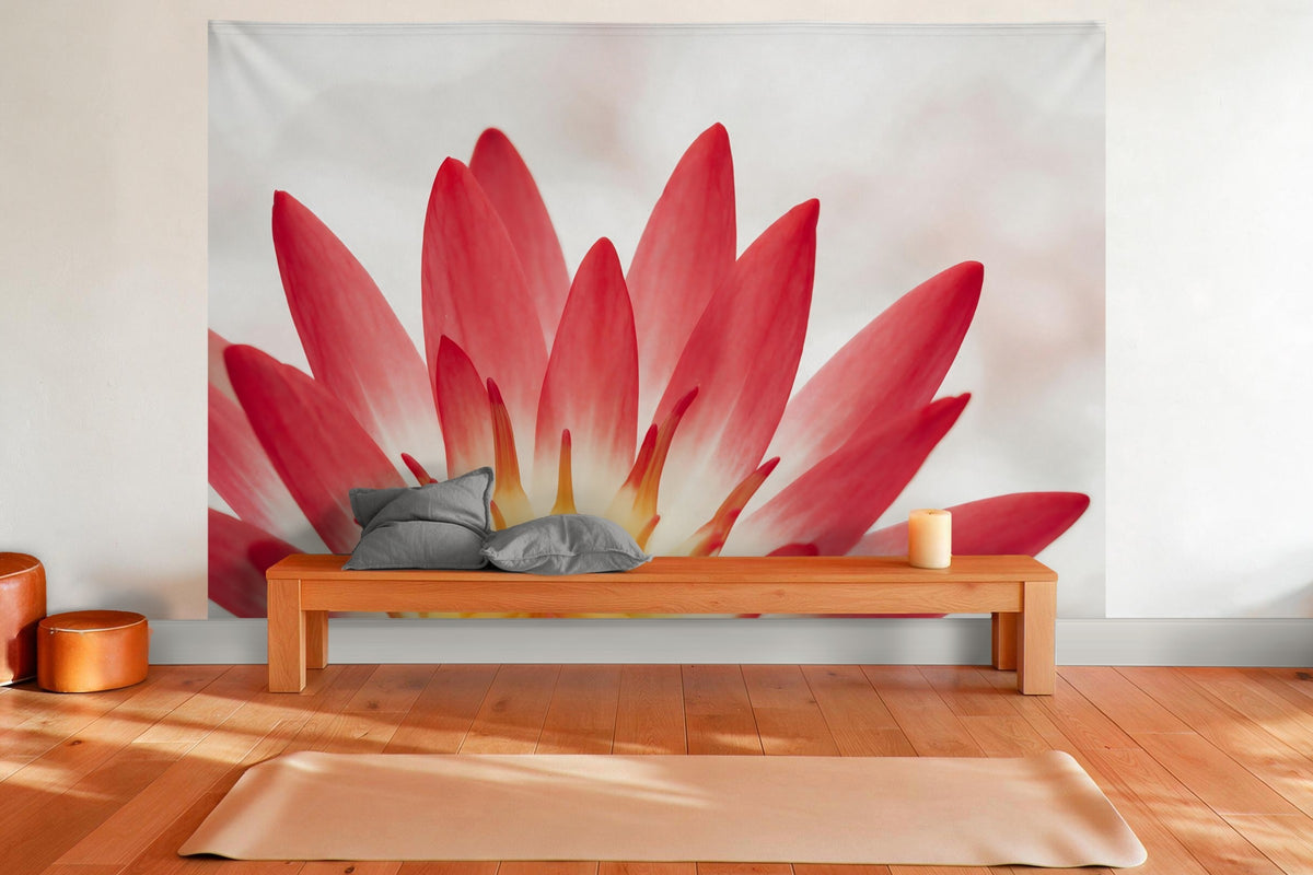 Tapiz de pared XXL Flor de nenúfar en primer plano como decoración en una sala de yoga