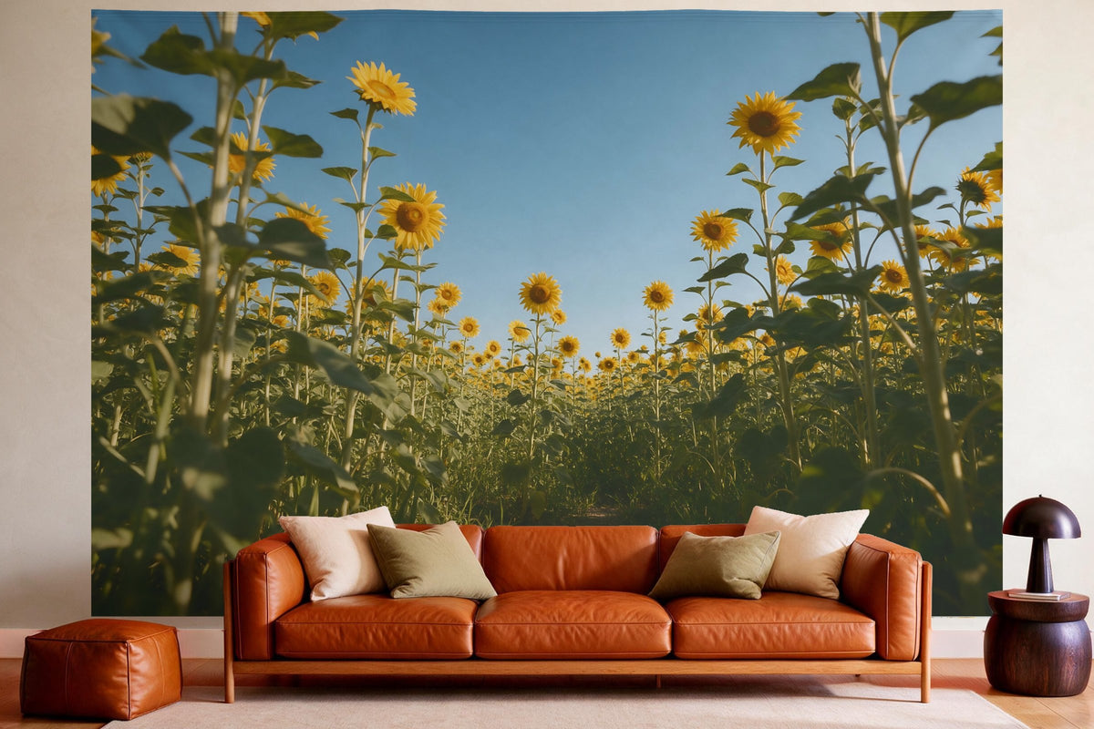 XXL wall tapestry Sunflower Field under a Blue Sky as wall decor in a cosy living room above the leather sofa