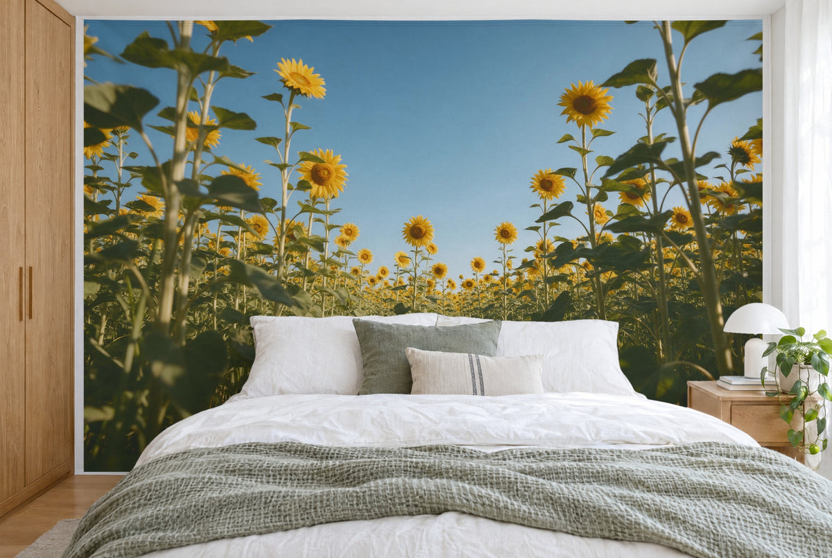 Tissu imprimé XXL : hauts tournesols aux têtes jaunes à gauche et à droite, mur entier derrière le lit