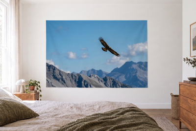 Tenture aigle royal en vol plané, chambre claire face au lit, commode en bois à droite – brun et bleu