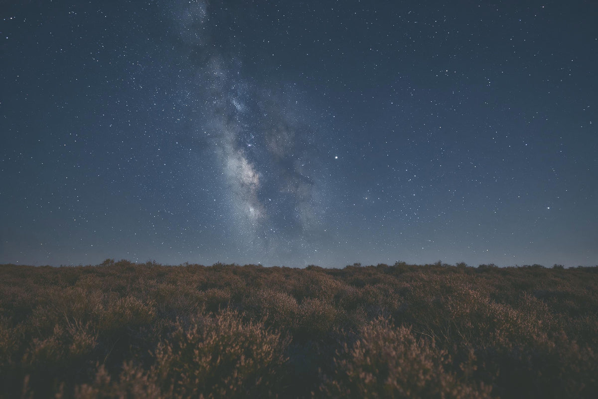 Cielo estrellado con Vía Láctea sobre brezal silencioso en marrón, tapiz impreso en tela – azul y marrón