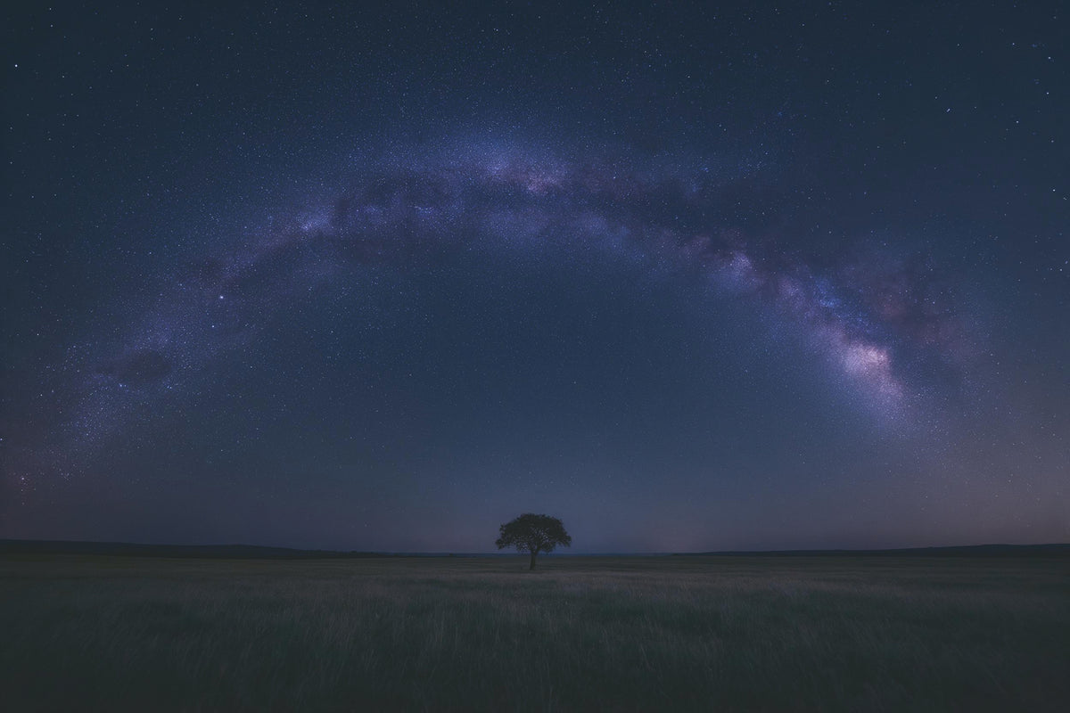 Sternenhimmel: Milchstrasse als Bogen über Grasland und einem Baum, als Wandtuch, auf Stoff gedruckt – Blau und Violett