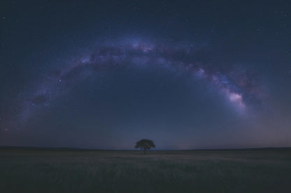 Sternenhimmel: Milchstrasse als Bogen über Grasland und einem Baum, als Wandtuch, auf Stoff gedruckt – Blau und Violett