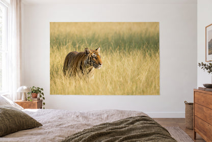 Tapiz tigre en la hierba alta en dormitorio claro frente a la cama, cómoda de madera a la derecha – naranja, amarillo y verde