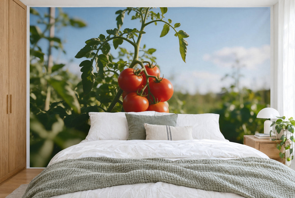 Bedruckter Stoff im XXL-Format: Tomaten-Rispe mittig an grüner Staude vor blauem Himmel, wandfüllend hinter dem Bett