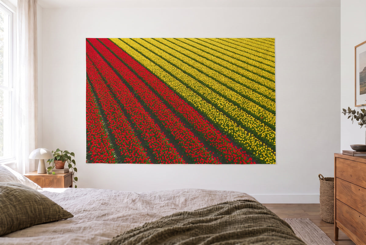 Wandtuch Tulpenfeld aus der Luft im hellen Schlafzimmer gegenüber dem Bett, rechts eine Holzkommode – Rot und Gelb