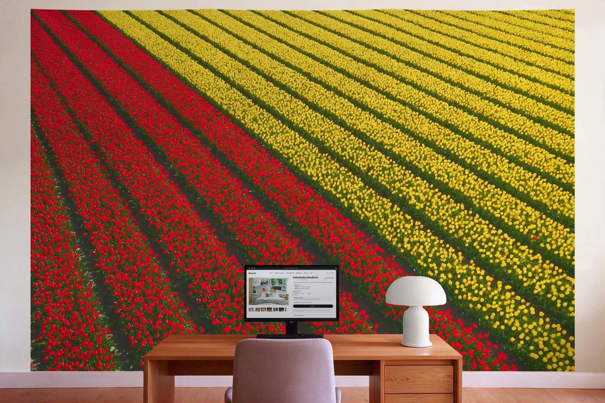 Decoración de pared en la oficina detrás del escritorio: tapiz de tela Campo de tulipanes desde el aire