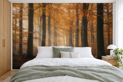 XXL printed fabric: golden beech crowns and rays of light above the leafy path, filling the wall behind the bed