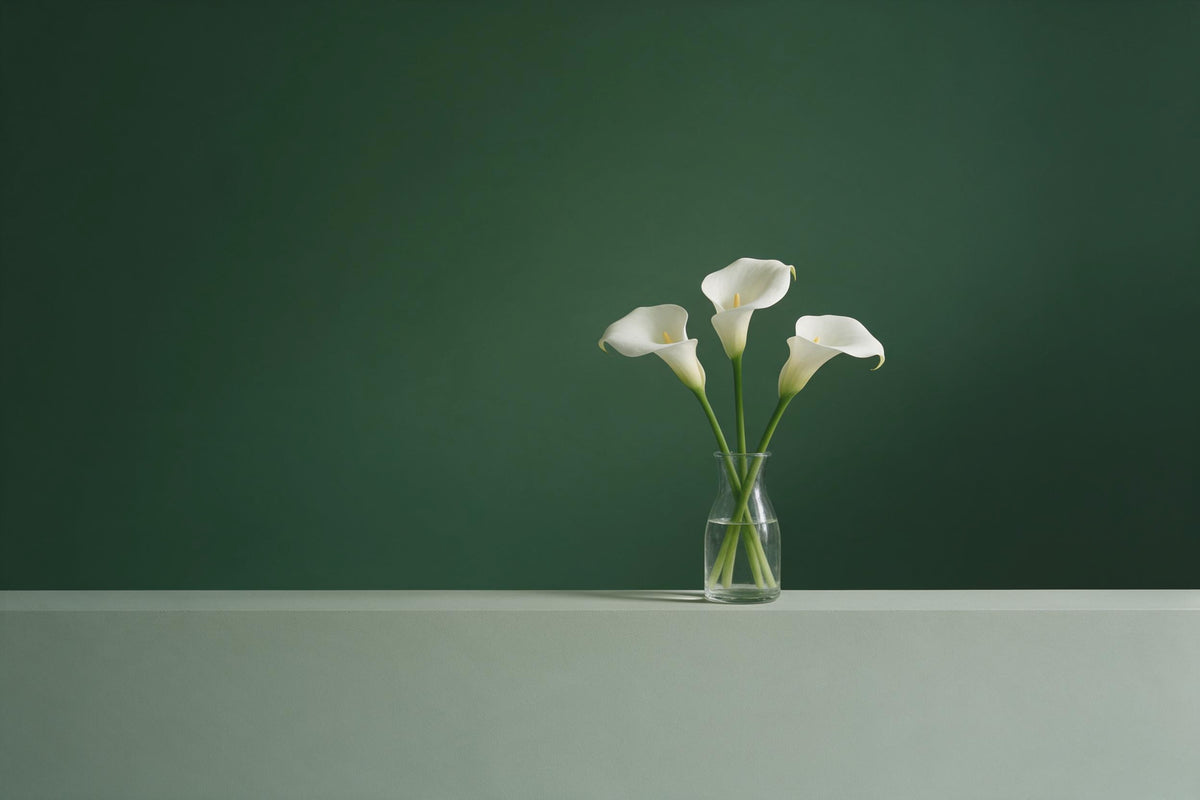 Trois arums blancs dans un vase en verre simple devant un fond vert sombre, tenture murale imprimée sur tissu – blanc et vert