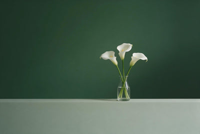 Trois arums blancs dans un vase en verre simple devant un fond vert sombre, tenture murale imprimée sur tissu – blanc et vert