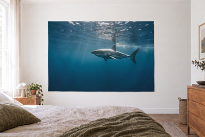 Open ocean great white shark tapestry in the bright bedroom opposite the bed, wood dresser on the right – blue and turquoise
