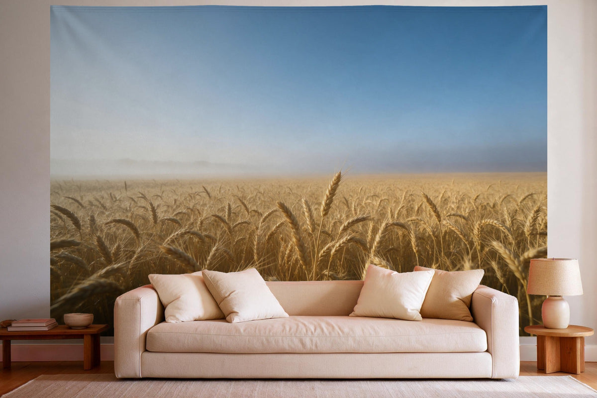 Tapiz de pared XXL Campo de trigo con luz de mañana como decoración en un salón luminoso sobre el sofá