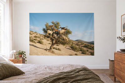 Wandtuch Ziegen im Arganbaum im hellen Schlafzimmer gegenüber dem Bett, rechts eine Holzkommode – Beige, Grün und Blau